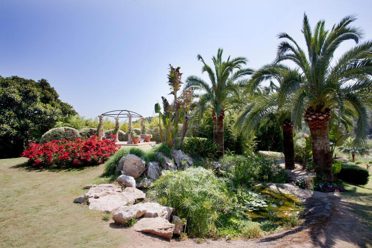 Ona Palmira Paradise 4*